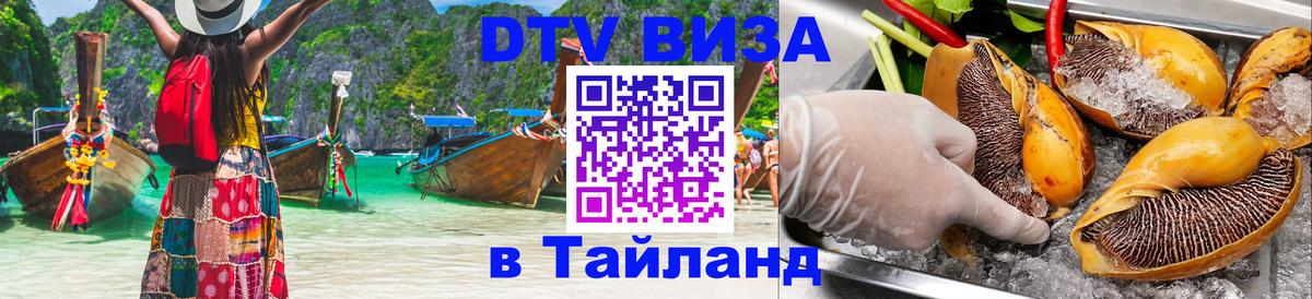 Оформление DTV визы под ключ: стоимость и тарифы, только загранпаспорт - Волгоград 